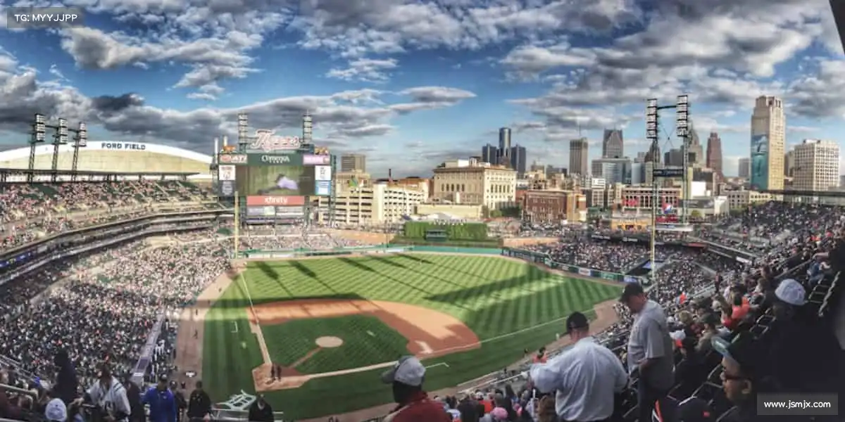 为什么选择我们